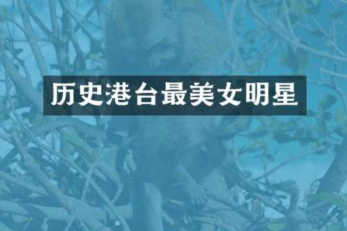 历史港台最明星