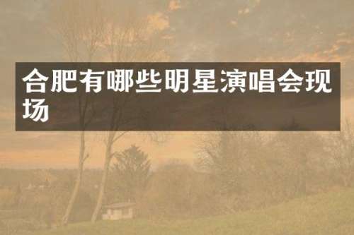 合肥有哪些明星演唱会现场