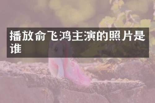 播放俞飞鸿主演的照片是谁
