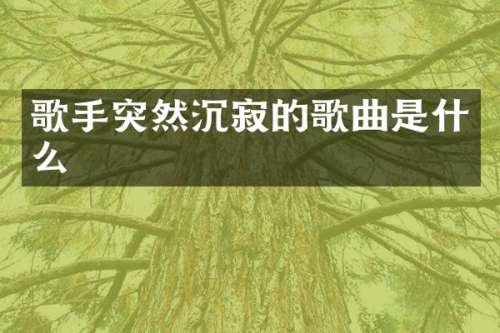 歌手突然沉寂的歌曲是什么