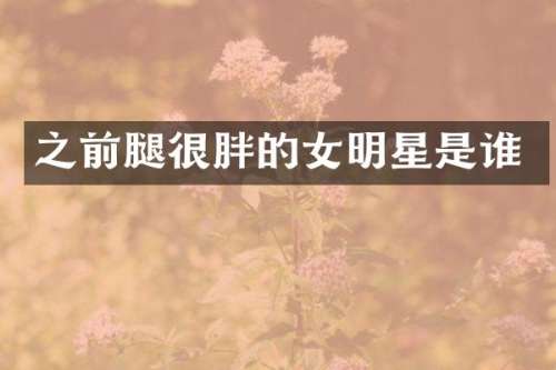 之前腿很胖的女明星是谁