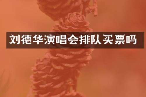 刘德华演唱会排队买票吗