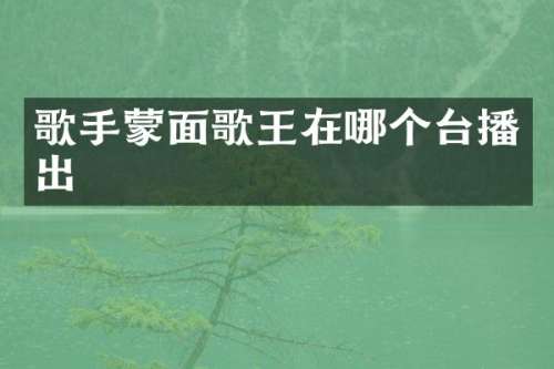 歌手蒙面歌王在哪个台播出