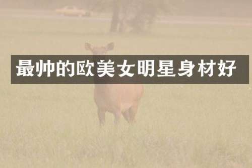 最帅的欧明星身材好