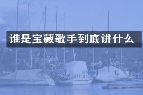 谁是宝藏歌手到底讲什么