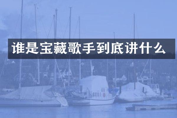 谁是宝藏歌手到底讲什么