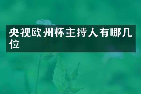 央视欧州杯主持人有哪几位