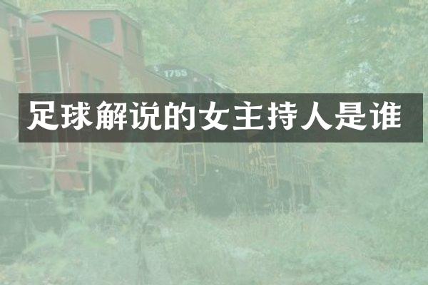 足球解说的女主持人是谁