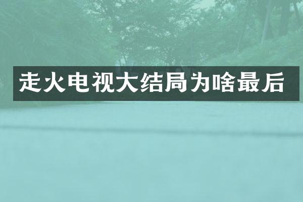 走火电视大结局为啥最后