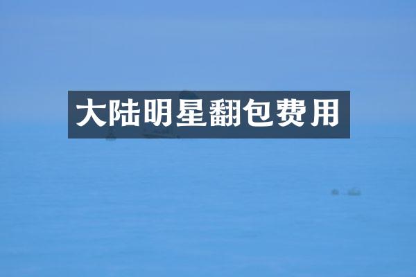 大陆明星翻包费用
