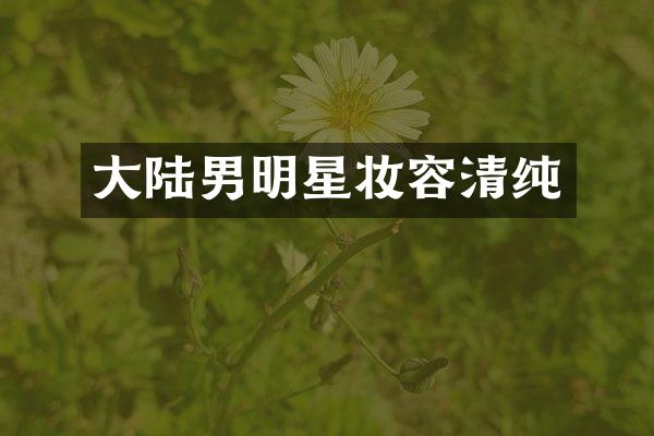 大陆男明星妆容清纯