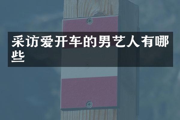 采访爱开车的男艺人有哪些