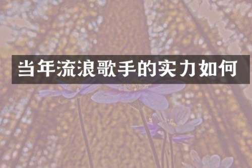 当年流浪歌手的实力如何