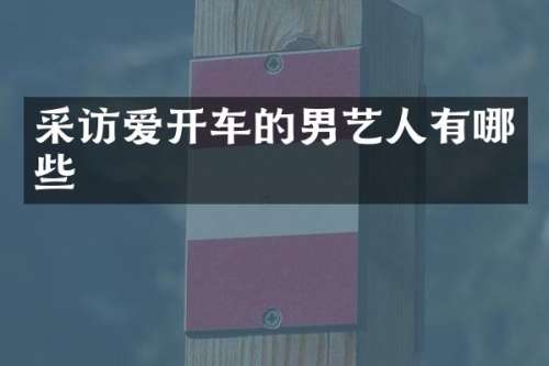 采访爱开车的男艺人有哪些