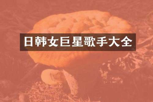 日韩女巨星歌手大全