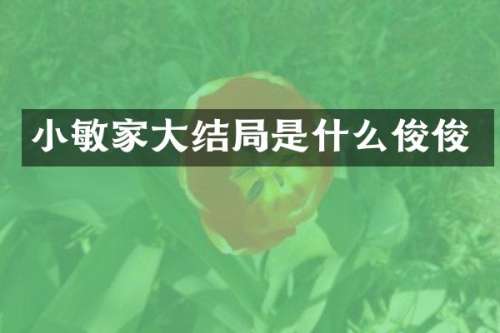 小敏家大结局是什么俊俊