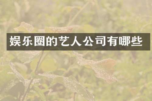 娱乐圈的艺人公司有哪些