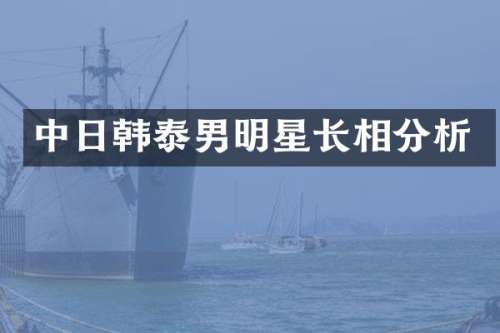 中日韩泰男明星长相分析
