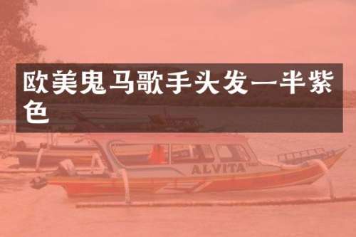欧美鬼马歌手头发一半紫色