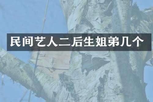 民间艺人二后生姐弟几个