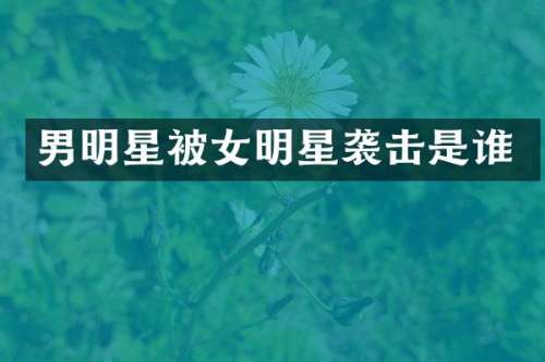 男明星被女明星袭击是谁