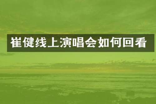 崔健线上演唱会如何回看