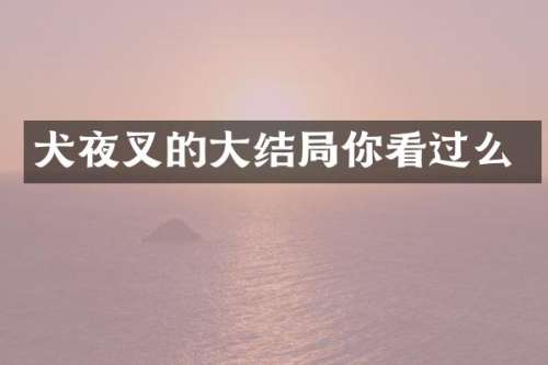 犬夜叉的大结局你看过么