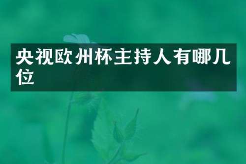 央视欧州杯主持人有哪几位