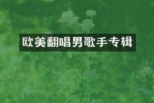 欧美翻唱男歌手专辑