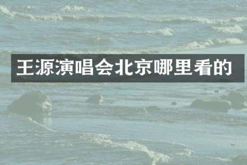 王源演唱会北京哪里看的