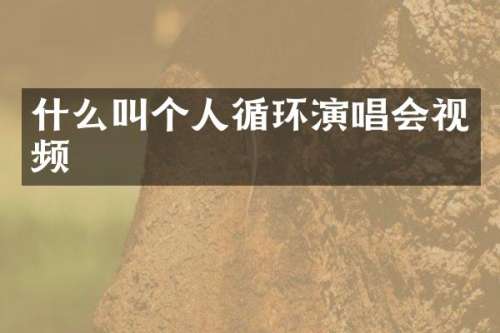 什么叫个人循环演唱会视频