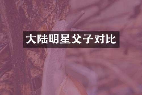 大陆明星父子对比