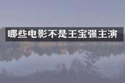 哪些电影不是王宝强主演