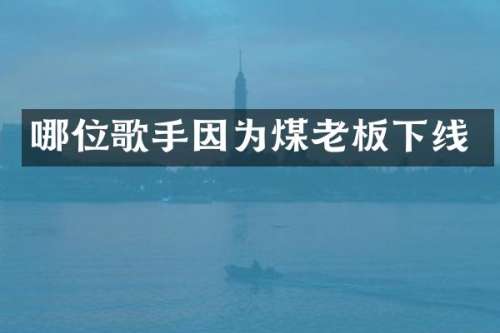 哪位歌手因为煤老板下线