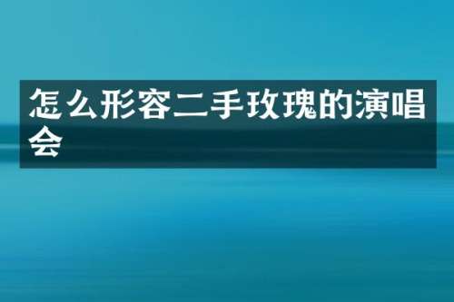 怎么形容二手玫瑰的演唱会