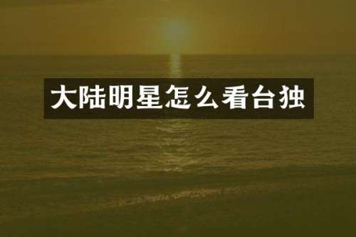大陆明星怎么看台独