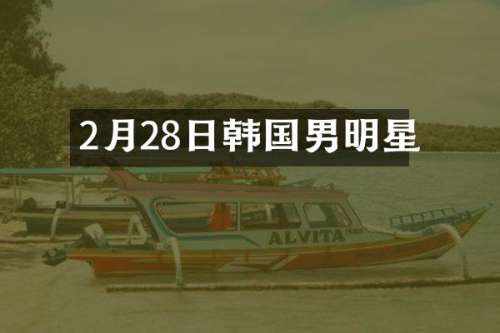 2月28日韩国男明星