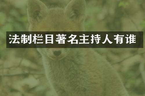 法制栏目著名主持人有谁