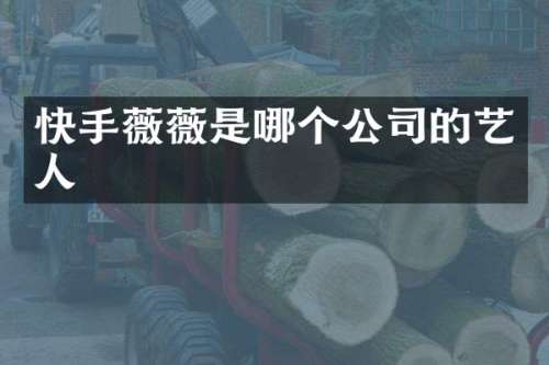 快手薇薇是哪个公司的艺人