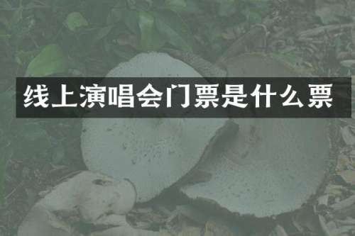线上演唱会门票是什么票