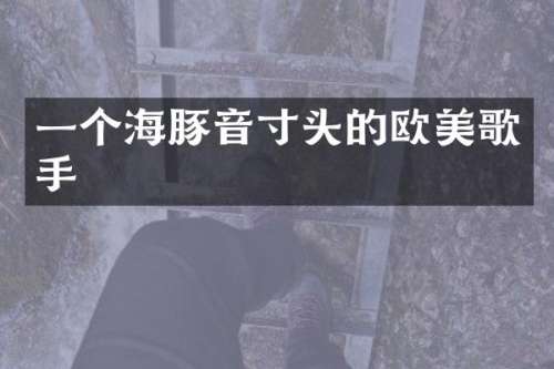 一个海豚音寸头的欧美歌手