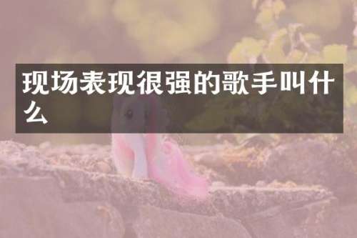 现场表现很强的歌手叫什么