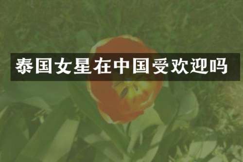 泰国女星在中国受欢迎吗
