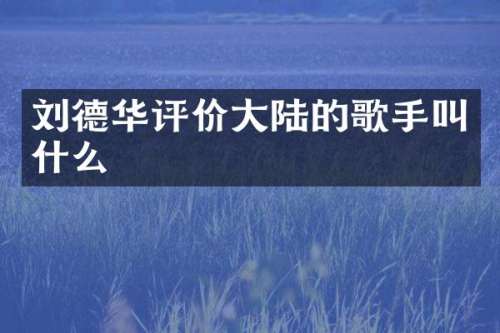 刘德华评价大陆的歌手叫什么