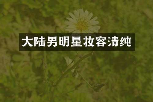 大陆男明星妆容清纯