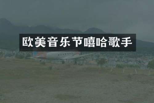 欧美音乐节嘻哈歌手