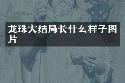 龙珠大结局长什么样子图片