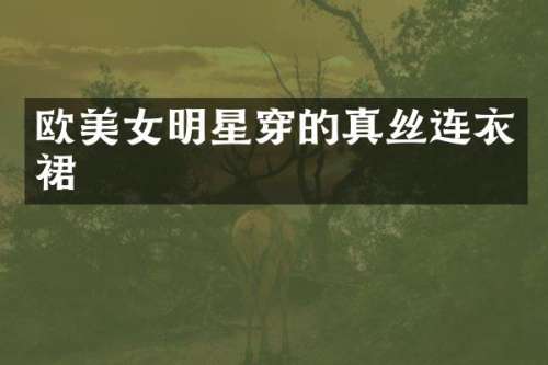欧明星穿的真丝连衣裙