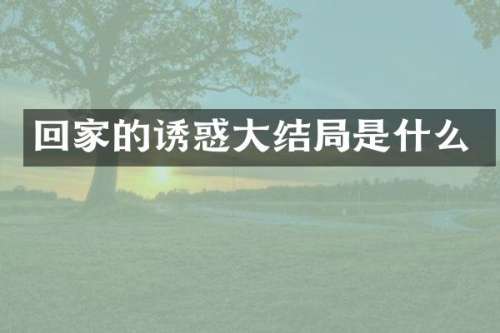 回家的诱惑大结局是什么