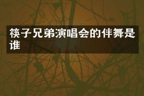 筷子兄弟演唱会的伴舞是谁